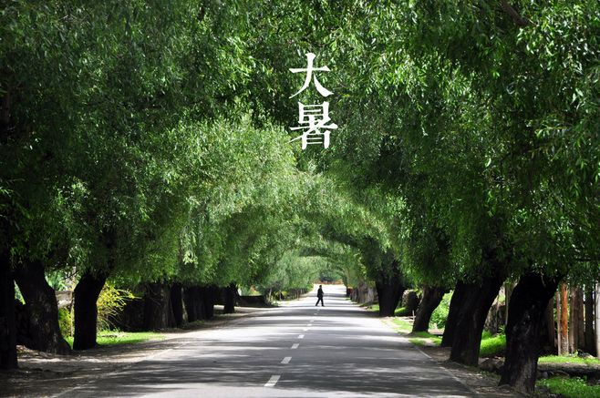 大暑丨葡園消煩暑，夢涼天地寬