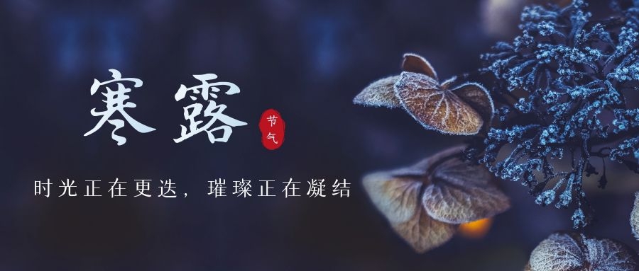 寒露 ▎時光更迭，璀璨正在凝結(jié)~