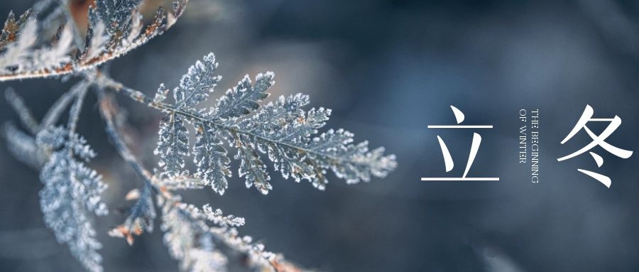 立冬 ▎朔風(fēng)始起，萬物境藏