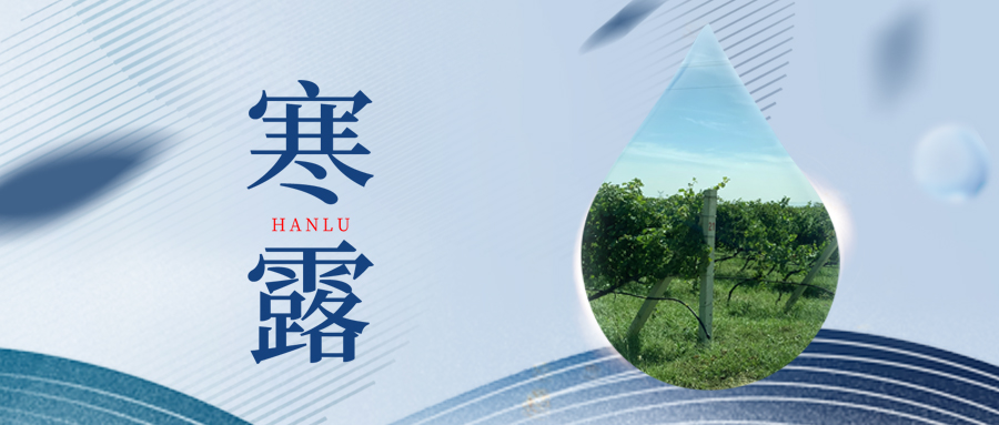 寒露丨夜露凝寒，萬物皆秋
