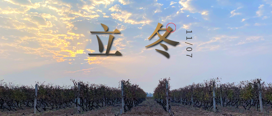 立冬 ▎四時有序，天地歸藏
