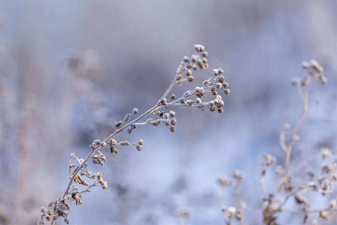 小雪 ▎冬藏萬(wàn)物，歲月沉香