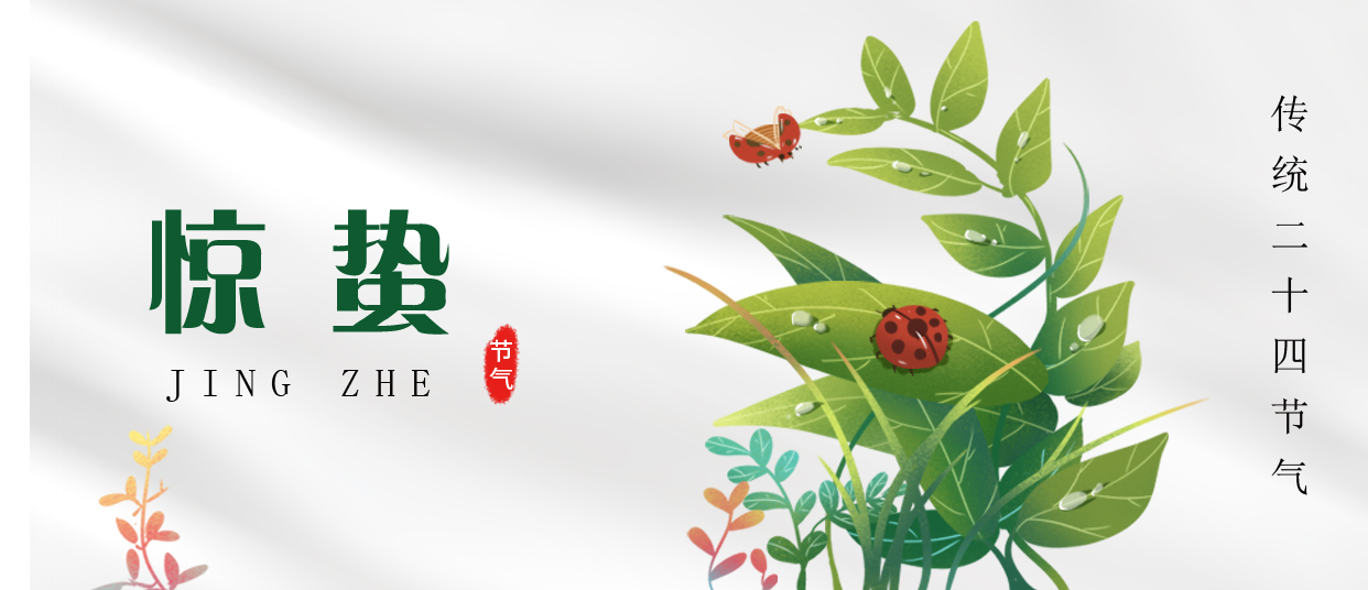 驚蟄 ▎雷鳴春醒，萬物生長